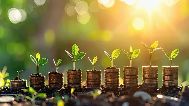 Nebeneinanderliegende Münzstapel mit wachsenden grünen Pflanzen als Symbol für nachhaltige Transformation, Verantwortung und zukunftsfähiges Wachstum.