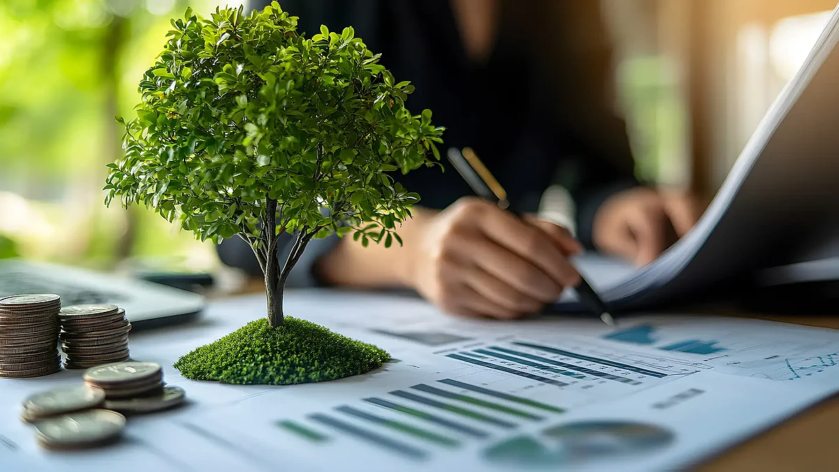 Symbolbild: Baum auf Finanzunterlagen neben Münzstapeln – Nachhaltigkeit, Kennzahlen und ESG-Berichtspflichten im Untern